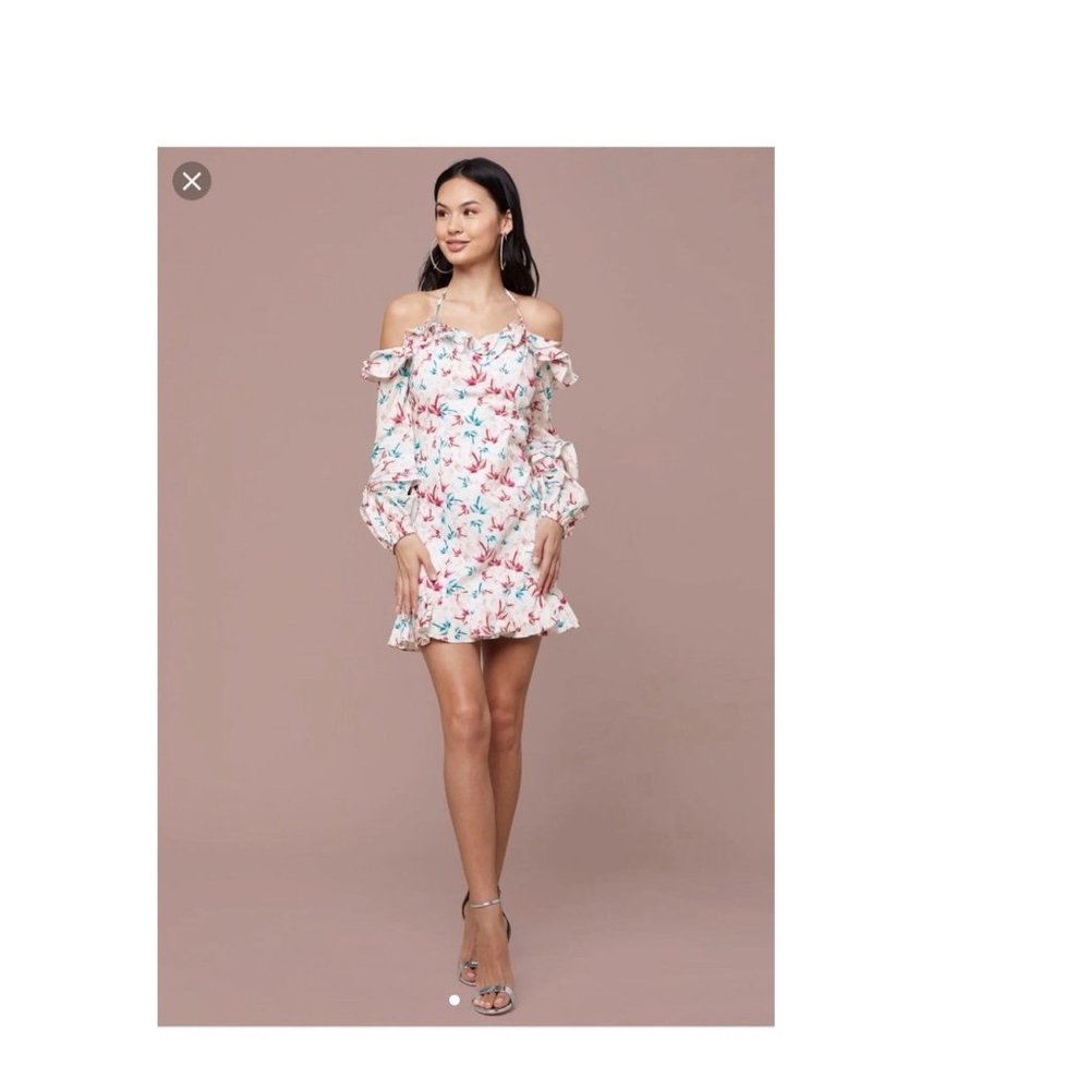 Bebe Iliana Puff Sleeve Dress